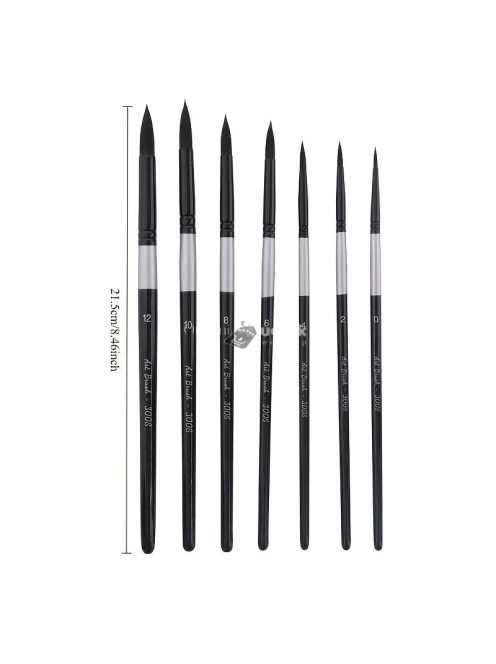 Professzionális Ecsetkészlet