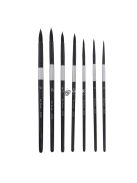 Professzionális Ecsetkészlet