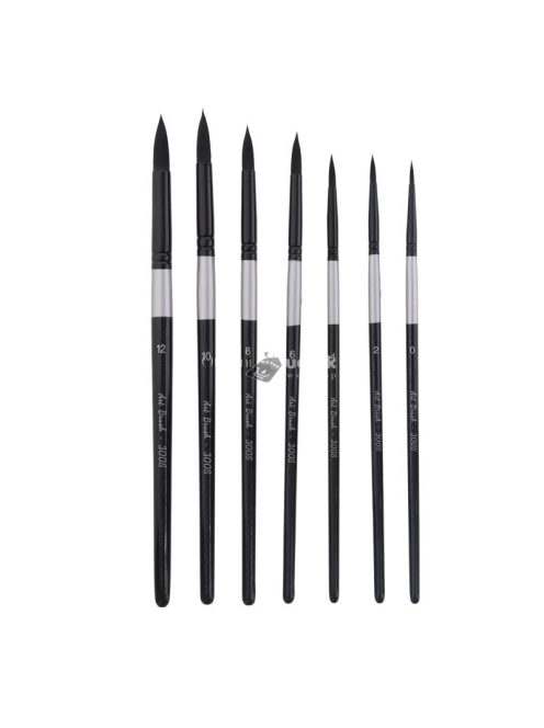 Professzionális Ecsetkészlet