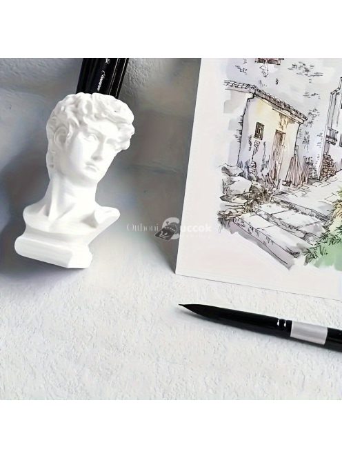 Professzionális Ecsetkészlet