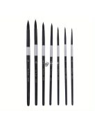 Professzionális Ecsetkészlet