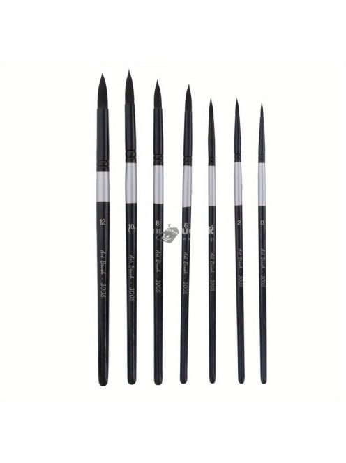 Professzionális Ecsetkészlet