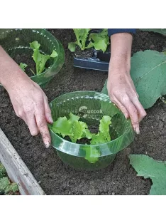 10 db zöld átlátszó zöldségvédő burkolat