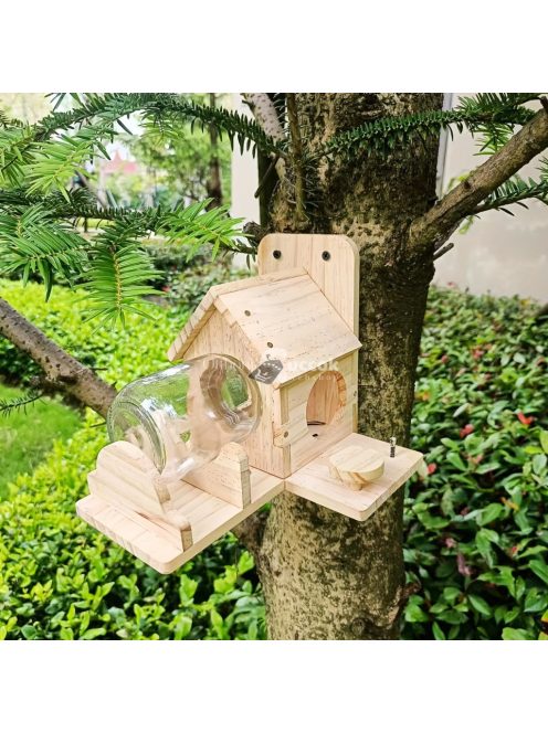 Mókus etető ház létrával