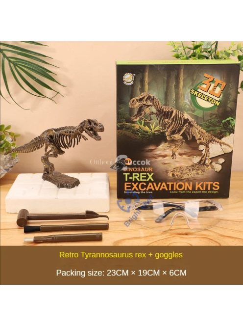 Jurassic Dino Fosszília Készlet