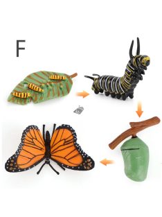 Életciklus Modell - oktató játék