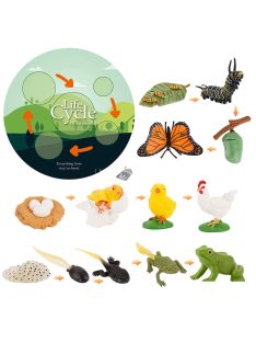 Életciklus Modell - oktató játék