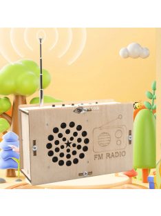 DIY FM Rádió Modell