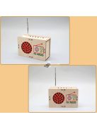 DIY FM Rádió Modell