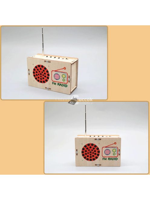 DIY FM Rádió Modell