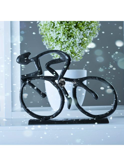 1db Elegáns kerékpárszobo