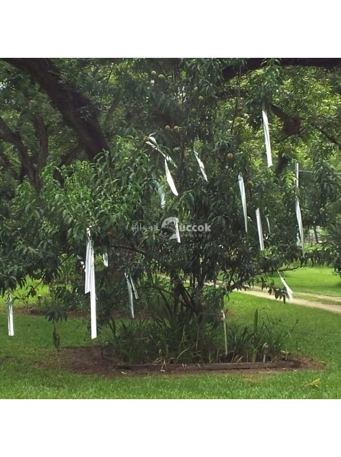 Madárijesztő fényvisszaverő szalag
