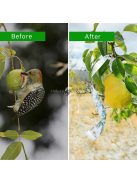 Madárijesztő fényvisszaverő szalag