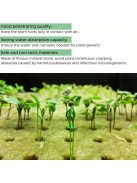 100db Föld nélküli palánta nevelő kocka