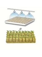 100db Föld nélküli palánta nevelő kocka