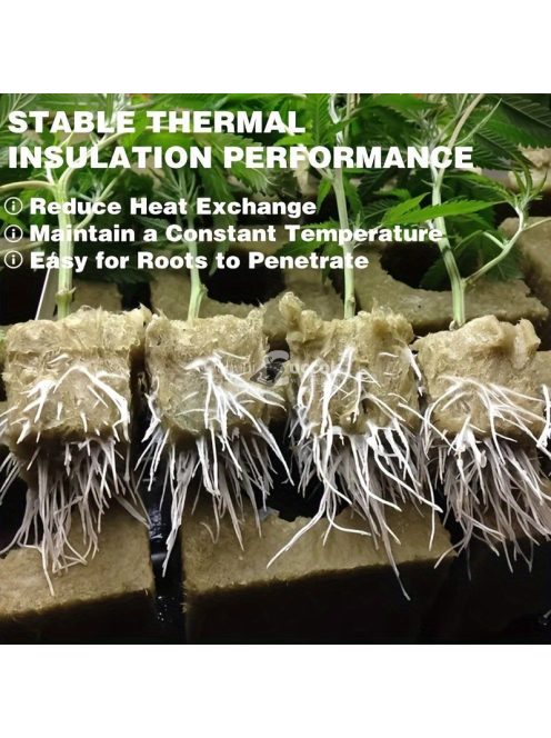 100db Föld nélküli palánta nevelő kocka