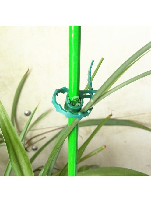 50db Állítható növénykötöző