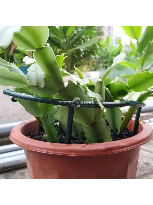 Műanyag növénytámasztó keret szett