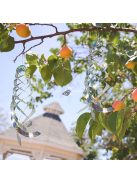 2db Madárriasztó fényvisszaverő spirál