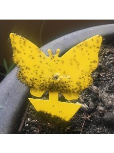 5db Ragadós rovarcsapda