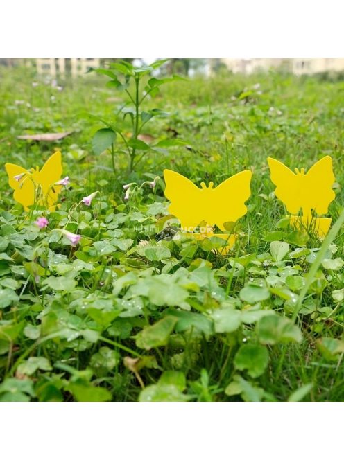 5db Ragadós rovarcsapda