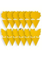 5db Ragadós rovarcsapda