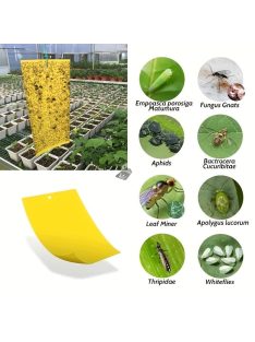 Ragacsos rovarfogó papír, 10db