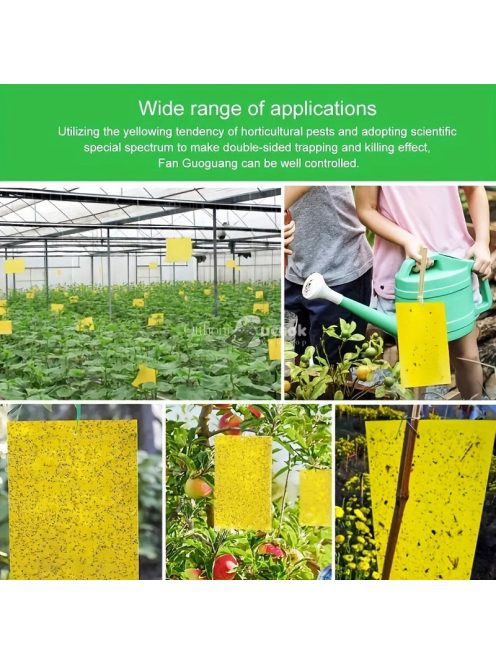 Ragacsos rovarfogó papír, 10db