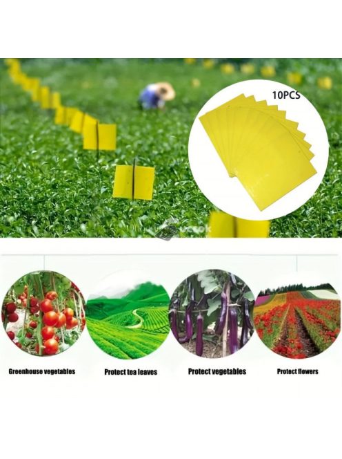 Ragacsos rovarfogó papír, 10db