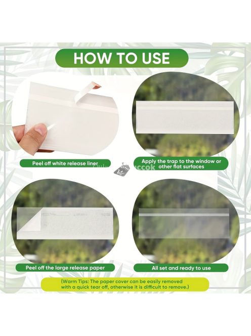 5db Ablakra tapasztható légycsapda