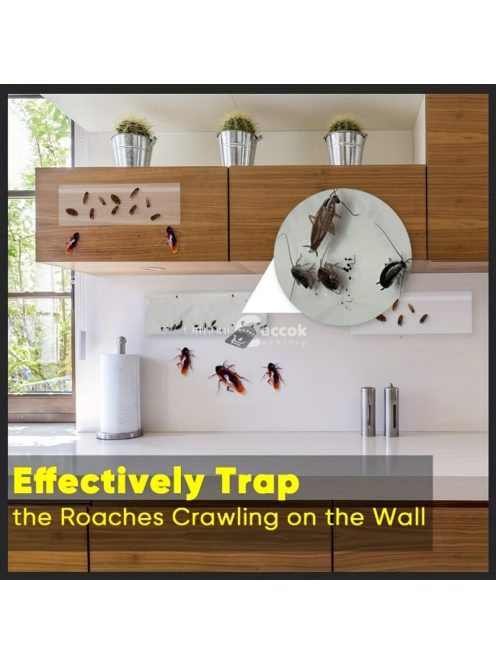 5db Ablakra tapasztható légycsapda