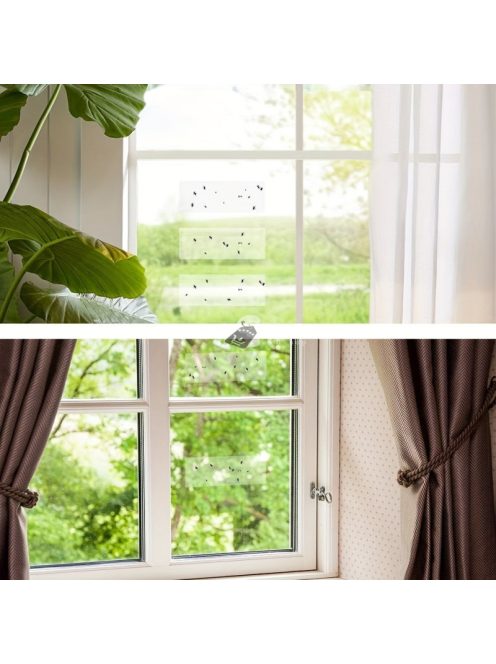 5db Ablakra tapasztható légycsapda