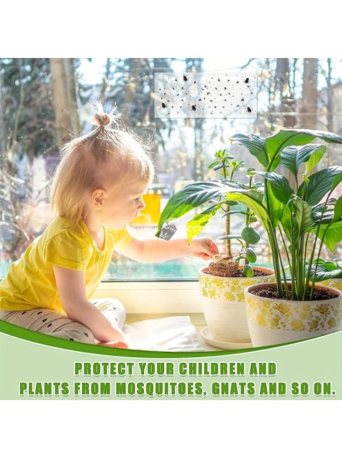 5db Ablakra tapasztható légycsapda