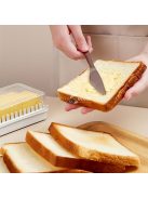 Vajrendszerező, Vajtároló Doboz