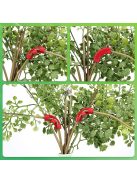 15db Növényhajlító Kapocs