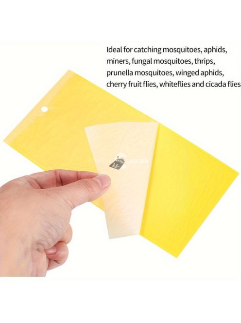 50db Ragasztós Légyfogó Papír