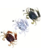 19g-os Puha Rák Csali