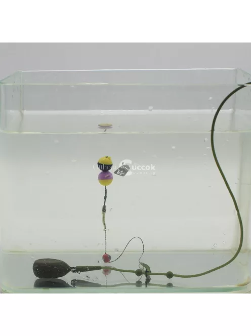 4db Ponty horgászfelszerelés