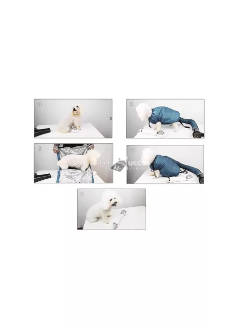 Kutyaszárító hajszárító zsák - Szőr szárítás, kutyakozmetika, háziállat, szőrkefe, szőrtelenítés, kutyatartás, kutyafésülés