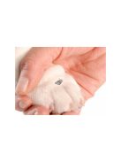 Kutya és macska körömcsipesz fogó - Köröm vágó - Körömvágó olló - Állat körömvágó - Körömvágó készlet