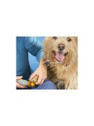 Karmos körmöskoptató macska és kutya számára - körmöskoptató gép háziállatoknak