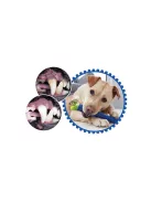 Kutyafogkefe rágó játék kutyának - fogtisztító játék - fogkefe játék - kutyajáték - fogápolás - rágó játék