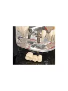 Fogmodell állkapocs fogak fog implantátumok - Fogorvosi modell állkapocs fogakkal és implantátumokkal