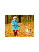 Automata kutya póráz blokk 5m 15kg