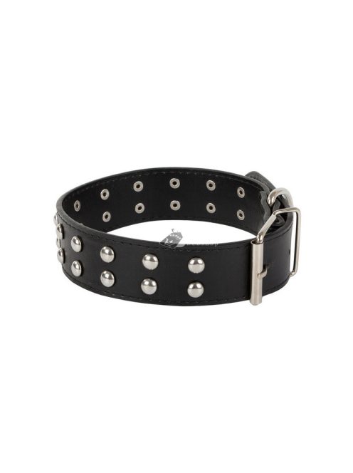 Szegecses kutya nyakörv öko bőr állítható méretben