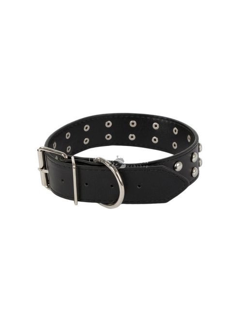 Szegecses kutya nyakörv öko bőr állítható méretben