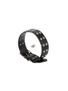 Szegecses kutya nyakörv öko bőr állítható méretben