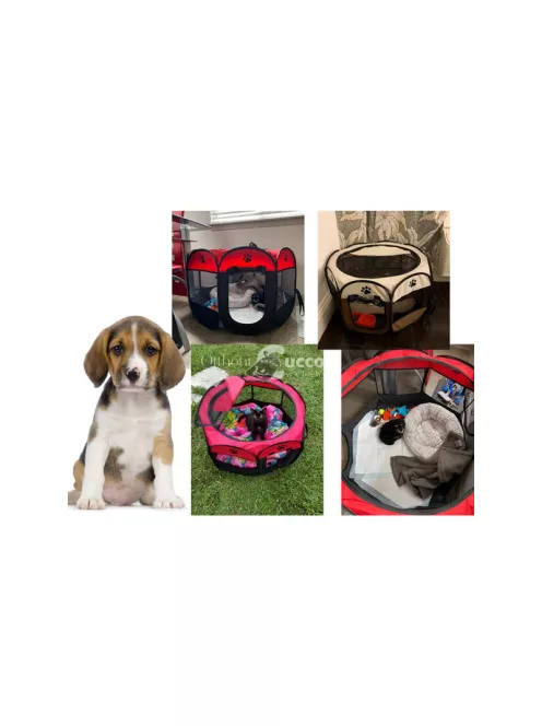 Könnyű, összecsukható kutyafogó, macska ketrec, nagy méretű alom, kennel.