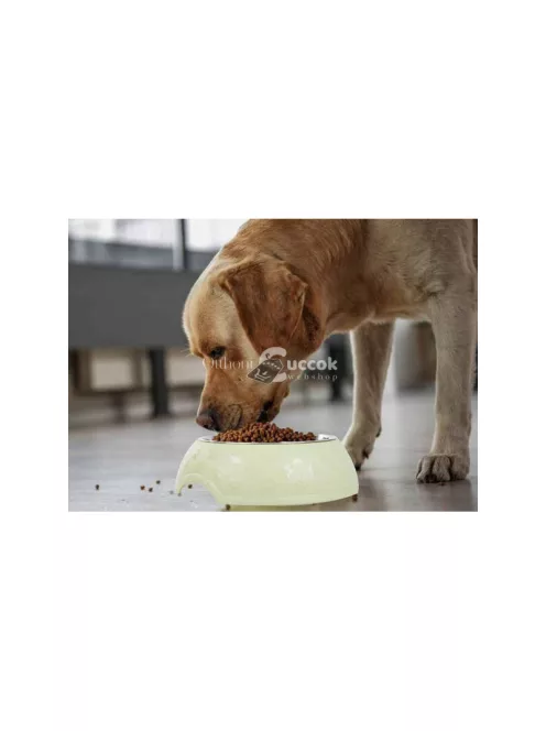 Fém kutyás macskás etetőtál nagy méretben 1200ml