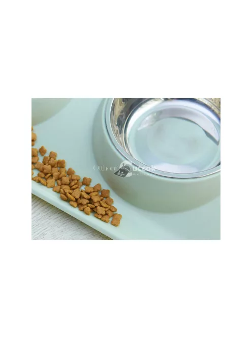 Két tál kutya macska számára fém talppal